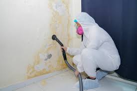 Mold Remediation for Vacation Homes in Ellisburg, NJ